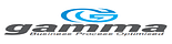 Gamma Process